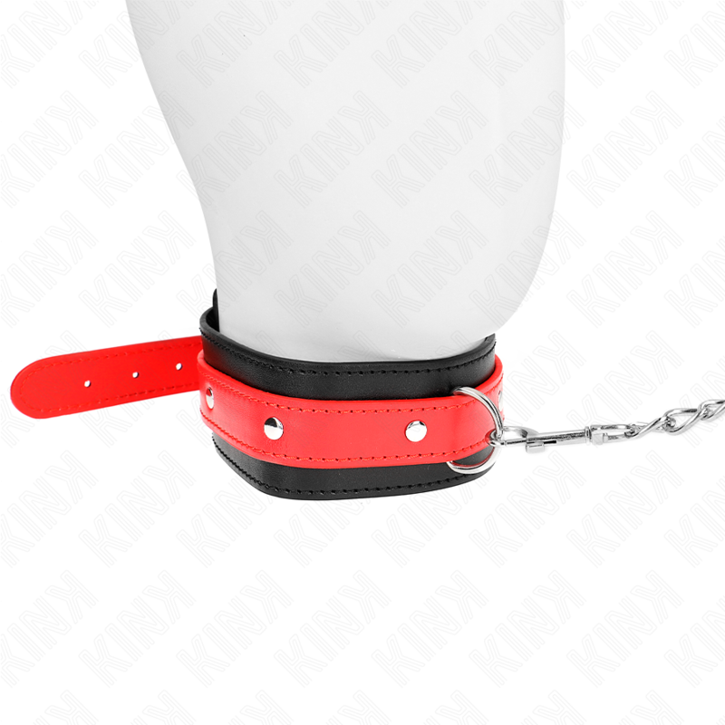 COLLAR CON CORREA 65 CM ROJO AJUSTABLE 36-43 CM X 5 CM