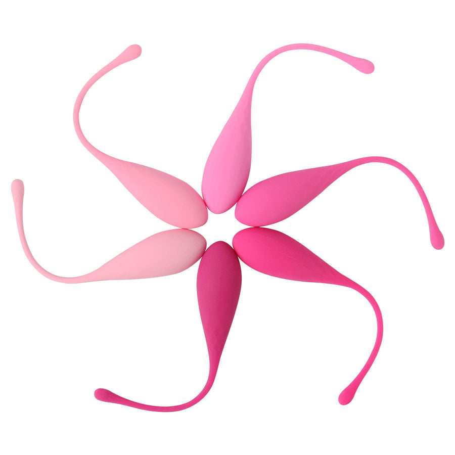 Set Entrenador Vaginal para el Suelo Pélvico con Pesos Ajustables